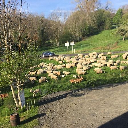Cote Puy-De Dome Bed & Breakfast Orcines Bagian luar foto